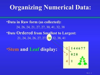 2  1 4 4 6 7 7  Organizing Numerical Data: Data in Raw form (as collected): 24, 26, 24, 21, 27, 27, 30, 41, 32, 38 Date  Ordered  from Smallest to Largest:   21, 24, 24, 26, 27, 27,  3 0 , 32, 38, 41 Stem   and  Leaf   display: 3  0 2 8 4  1 