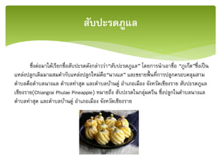 ซึ่งต่อมาได้เรียกชื่อสับปะรดดังกล่าวว่า“สับปะรดภูแล” โดยการนาเอาชื่อ “ภูเก็ต”ซึ่งเป็น
แหล่งปลูกเดิมมาผสมคากับแหล่งปลูกใหม่คือ“นางแล” และขยายพื้นที่การปลูกครอบคลุมสาม
ตาบลคือตาบลนางแล ตาบลท่าสุด และตาบลบ้านดู่ อาเภอเมือง จังหวัดเชียงราย สับปะรดภูแล
เชียงราย(Chiangrai Phulae Pineapple) หมายถึง สับปะรดในกลุ่มควีน ซึ่งปลูกในตาบลนางแล
ตาบลท่าสุด และตาบลบ้านดู่ อาเภอเมือง จังหวัดเชียงราย
สับปะรดภูแล
 