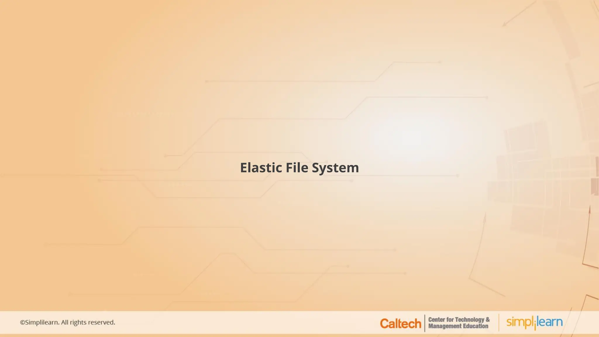 Elastic File System
 