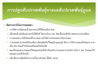  ข้อควรระวังในการหยอดยา
 การใช้สารเร่งปุ๋ ยและน้าสะอาดควรให้ได้ตามอัตราส่วน
 เมื่อผสมน้าแล้วต้องนาออกไปใช้ทันที ไม่ควรเกิน 2 ชม. มิฉะนั้นประสิทธิภาพของสารเร่งจะเสื่อม
 การหยอดสารเร่งให้หยอดที่กลางยอด อย่าให้สารเร่งหยอดหกหรือกระฉอก
 การหยอดสารเร่งจะได้รับผลดีมากน้อยเพียงใด ขึ้นอยู่กับอุณหภูมิ อัตราการใช้ ควรหยอดในขณะอากาศ
เย็น เช่น ตอนเช้าหรือตอนเย็นแดดไม่ร้อนจัด
 ขณะที่หยอดสารเร่งฝนตกให้หยุดหยอดทันที หรือหลังจากหยอดสารเร่งแล้วภายใน 2 ชม. ถ้าฝนตกให้
หยอดสารเร่งซ้าอีกครั้ง
 หลีกเลี่ยงการสัมผัสกับสารเร่งทั้งทางผิวหนัง เสื้อผ้า และตา
การปลูกสับปะรดพันธุ์นางแลสับปะรดพันธุ์ภููแล
 