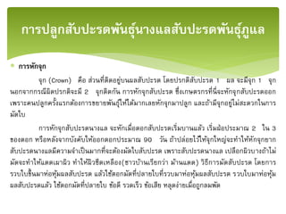  การหักจุก
จุก (Crown) คือ ส่วนที่ติดอยู่บนผลสับปะรด โดยปรกติสับปะรด 1 ผล จะมีจุก 1 จุก
นอกจากกรณีผิดปรกติจะมี 2 จุกติดกัน การหักจุกสับปะรด ซึ่งเกษตรกรที่นี่จะหักจุกสับปะรดออก
เพราะคนปลูกครั้งแรกต้องการขยายพันธุ์ให้ได้มากเลยหักจุกมาปลูก และถ้ามีจุกอยู่ไม่สะดวกในการ
มัดใบ
การหักจุกสับปะรดนางแล จะหักเมื่อดอกสับปะรดเริ่มบานแล้ว เริ่มฝ่อประมาณ 2 ใน 3
ของดอก หรือหลังจากบังคับให้ออกดอกประมาณ 90 วัน ถ้าปล่อยไว้ให้จุกใหญ่จะทาให้หักจุกยาก
สับปะรดนางแลมีความจาเป็นมากที่จะต้องมัดใบสับปะรด เพราะสับปะรดนางแล เปลือกผิวบางถ้าไม่
มัดจะทาให้แดดเผาผิว ทาให้ผิวซีดเหลือง(ชาวบ้านเรียกว่า ม้านแดด) วิธีการมัดสับปะรด โดยการ
รวบใบขึ้นมาห่อหุ้มผลสับปะรด แล้วใช้ตอกมัดที่ปลายใบที่รวบมาห่อหุ้มผลสับปะรด รวบใบมาห่อหุ้ม
ผลสับปะรดแล้ว ใช้ตอกมัดที่ปลายใบ ข้อดี รวดเร็ว ข้อเสีย หลุดง่ายเมื่อถูกลมพัด
การปลูกสับปะรดพันธุ์นางแลสับปะรดพันธุ์ภููแล
 