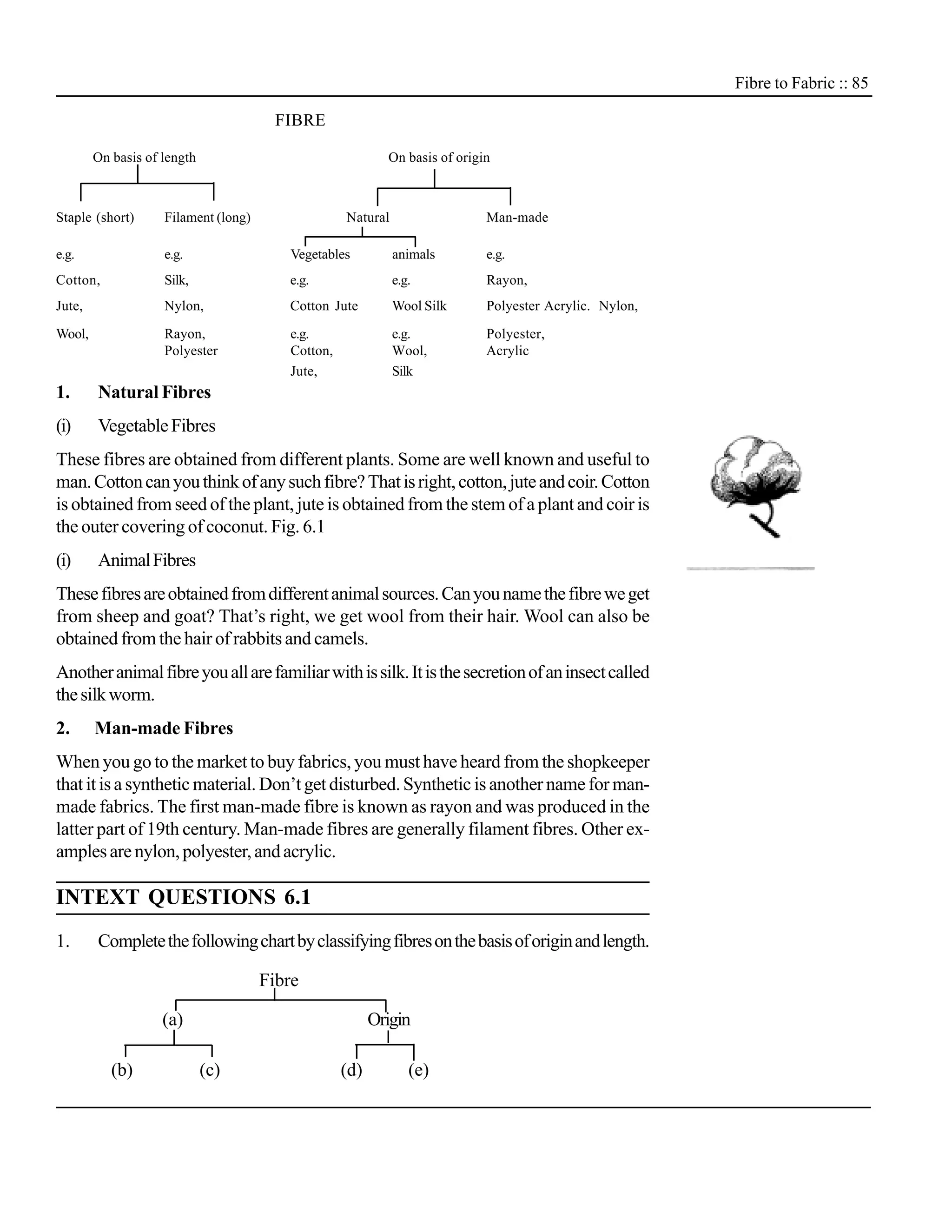 Fibre to Fabric :: 85

                                        FIBRE

        On basis of length                                 On basis of origin



Staple (short)      Filament (long)                Natural                  Man-made

e.g.                e.g.                 Vegetables          animals        e.g.
Cotton,             Silk,                e.g.                e.g.           Rayon,
Jute,               Nylon,               Cotton Jute         Wool Silk      Polyester Acrylic. Nylon,

Wool,               Rayon,               e.g.                e.g.           Polyester,
                    Polyester            Cotton,             Wool,          Acrylic
                                         Jute,               Silk
1.      Natural Fibres
(i)     Vegetable Fibres
These fibres are obtained from different plants. Some are well known and useful to
man. Cotton can you think of any such fibre? That is right, cotton, jute and coir. Cotton
is obtained from seed of the plant, jute is obtained from the stem of a plant and coir is
the outer covering of coconut. Fig. 6.1
(i)     Animal Fibres
These fibres are obtained from different animal sources. Can you name the fibre we get
from sheep and goat? That’s right, we get wool from their hair. Wool can also be
obtained from the hair of rabbits and camels.
Another animal fibre you all are familiar with is silk. It is the secretion of an insect called
the silk worm.
2.      Man-made Fibres
When you go to the market to buy fabrics, you must have heard from the shopkeeper
that it is a synthetic material. Don’t get disturbed. Synthetic is another name for man-
made fabrics. The first man-made fibre is known as rayon and was produced in the
latter part of 19th century. Man-made fibres are generally filament fibres. Other ex-
amples are nylon, polyester, and acrylic.

INTEXT QUESTIONS 6.1
1.      Complete the following chart by classifying fibres on the basis of origin and length.

                                      Fibre

                    (a)                                  Origin

           (b)               (c)                   (d)          (e)
 