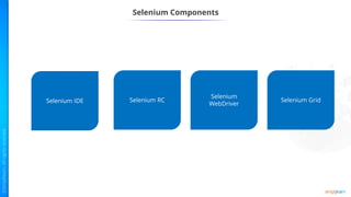 Selenium Components
Selenium RC
Selenium IDE
Selenium
WebDriver
Selenium Grid
 