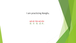 I am practicing Kongfu.
wǒ zài liàn wǔ shù
我 在 练 武 术。
 