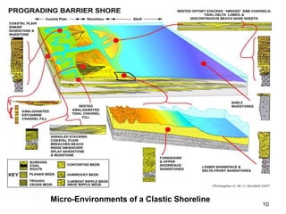 10
Micro-Environments of a Clastic Shoreline
 