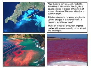 38
Algal ‘blooms’ can be seen by satellite.
This one (off the coast of SW England)
covers an area in excess of hundreds of
square kilometers! The inset white line is
80km in length.
This is a singular occurrence. Imagine the
volume of algae in a hundred years, a
thousand, a million or more!
That’s an incredible amount of organic
matter which can eventually be converted
into oil and gas.
 