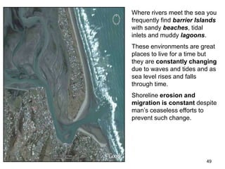 49
Where rivers meet the sea you
frequently find barrier Islands
with sandy beaches, tidal
inlets and muddy lagoons.
These environments are great
places to live for a time but
they are constantly changing
due to waves and tides and as
sea level rises and falls
through time.
Shoreline erosion and
migration is constant despite
man’s ceaseless efforts to
prevent such change.
 
