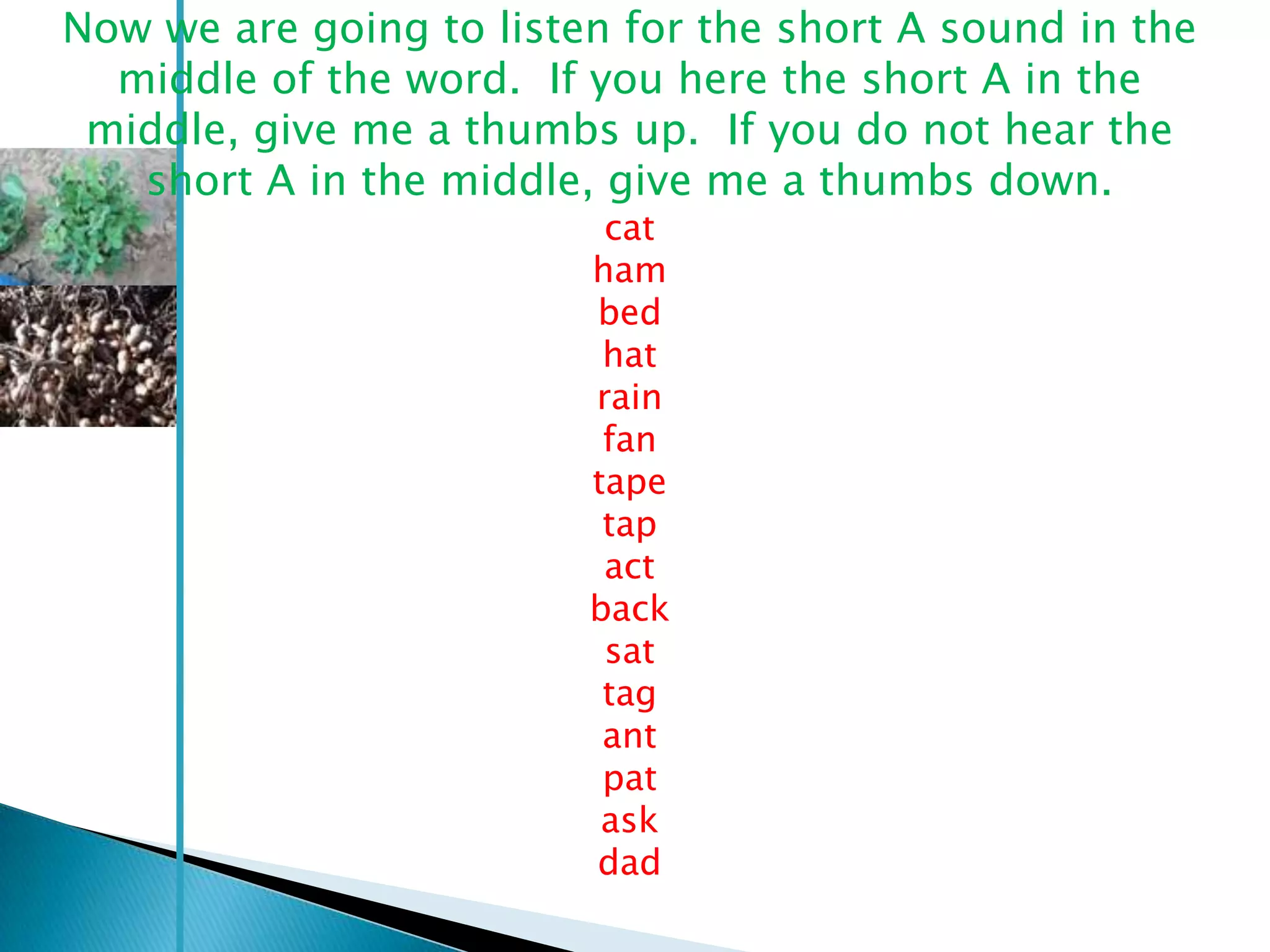 Now we are going to listen for the short A sound in the
  middle of the word. If you here the short A in the
 middle, give me a thumbs up. If you do not hear the
   short A in the middle, give me a thumbs down.
                          cat
                         ham
                         bed
                          hat
                         rain
                          fan
                         tape
                          tap
                          act
                         back
                          sat
                          tag
                          ant
                          pat
                          ask
                         dad
 