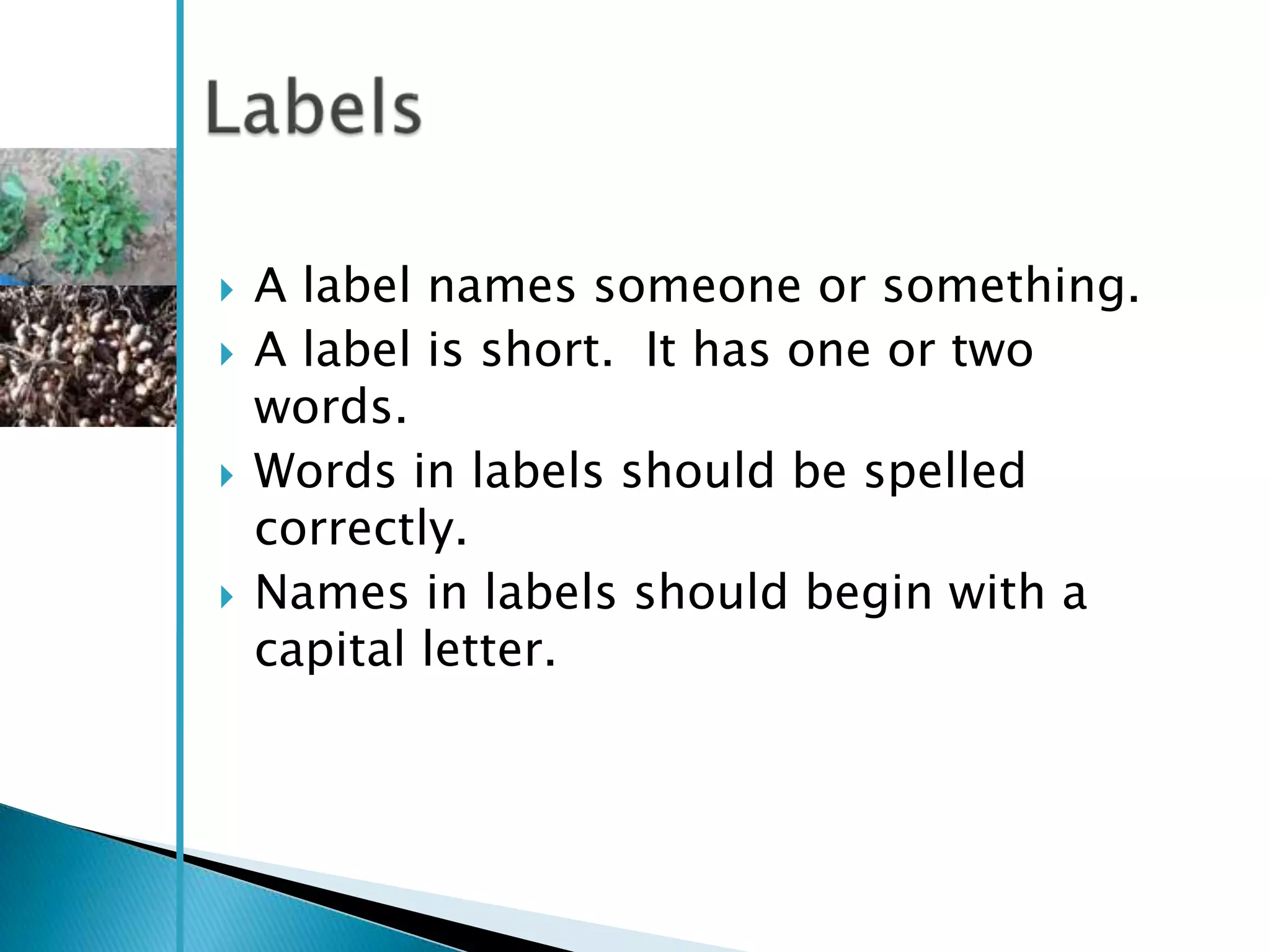   A label names someone or something.
   A label is short. It has one or two
    words.
   Words in labels should be spelled
    correctly.
   Names in labels should begin with a
    capital letter.
 