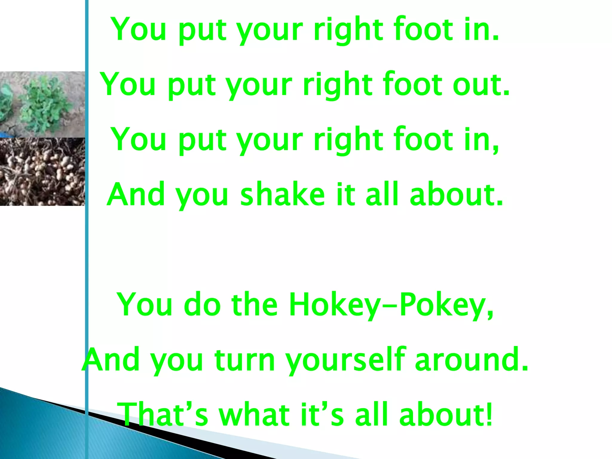 You put your right foot in.
 You put your right foot out.
 You put your right foot in,
 And you shake it all about.


  You do the Hokey-Pokey,
And you turn yourself around.
  That‘s what it‘s all about!
 