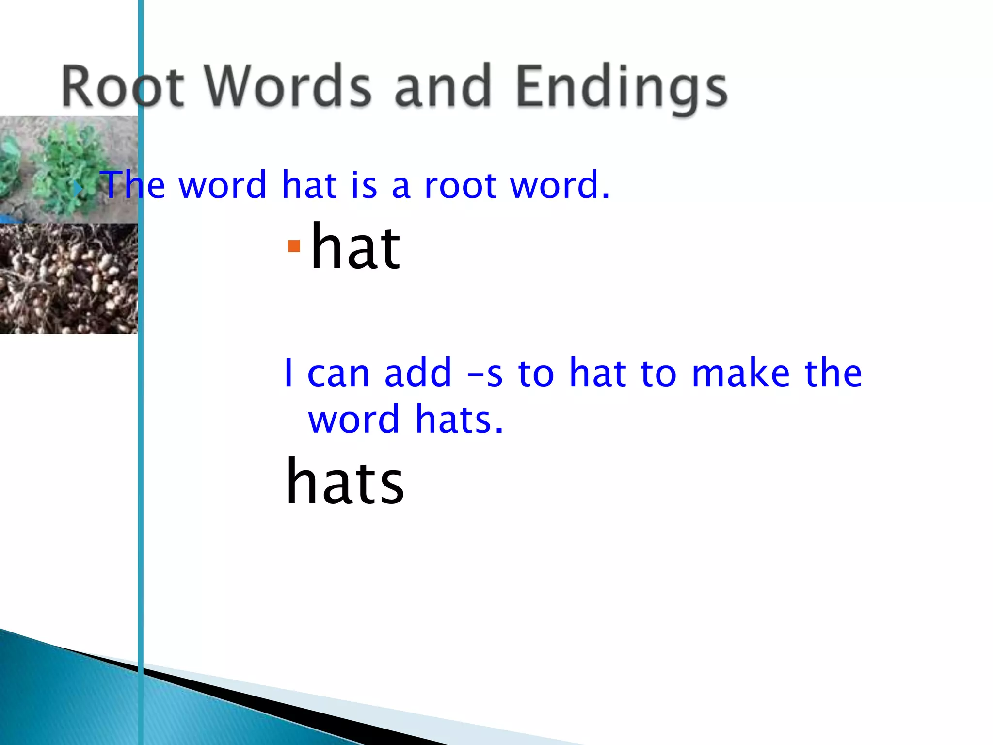    The word hat is a root word.
              hat
              I can add –s to hat to make the
                word hats.
              hats
 