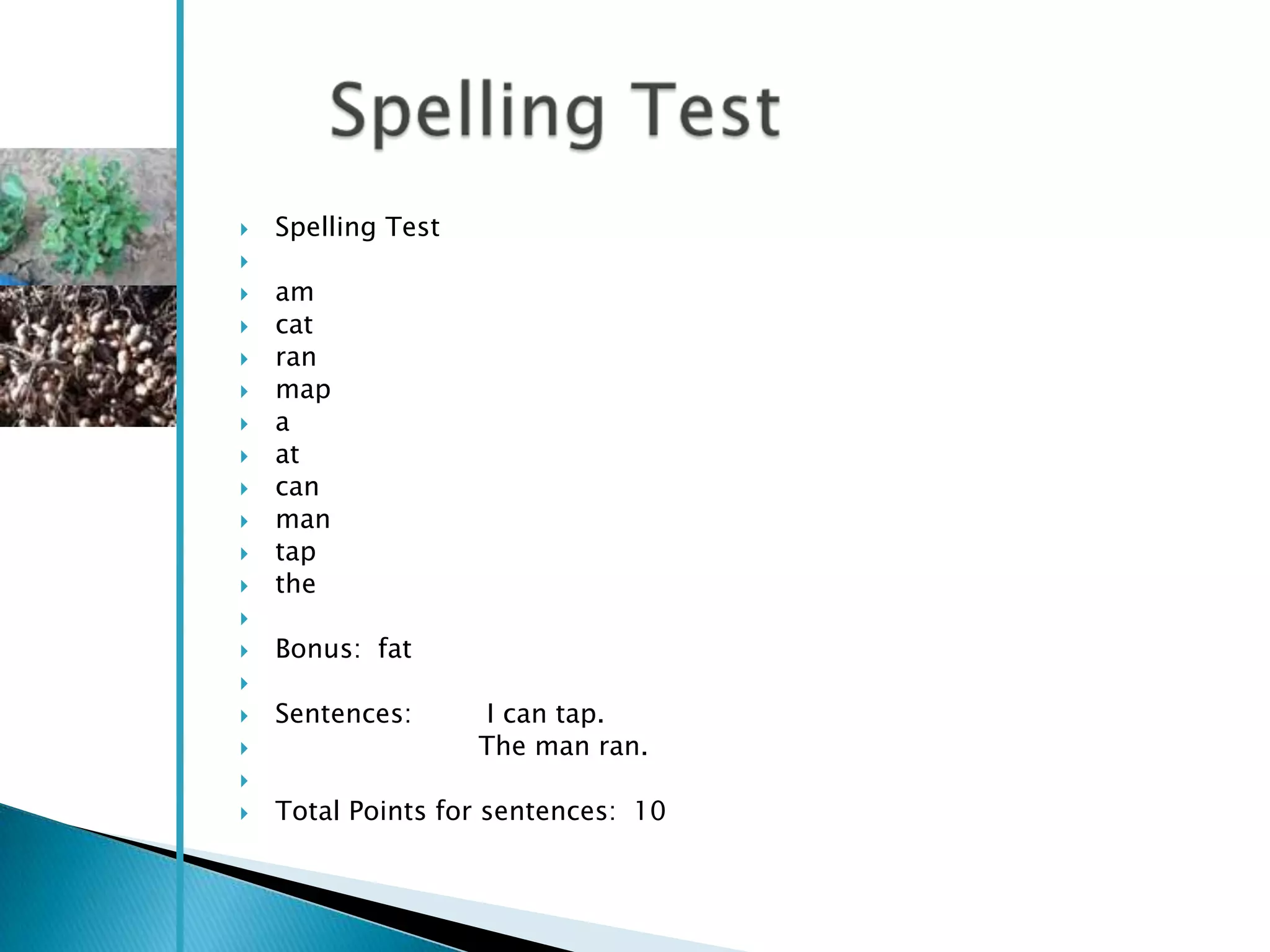    Spelling Test

   am
   cat
   ran
   map
   a
   at
   can
   man
   tap
   the

   Bonus: fat

   Sentences:      I can tap.
                   The man ran.

   Total Points for sentences: 10
 