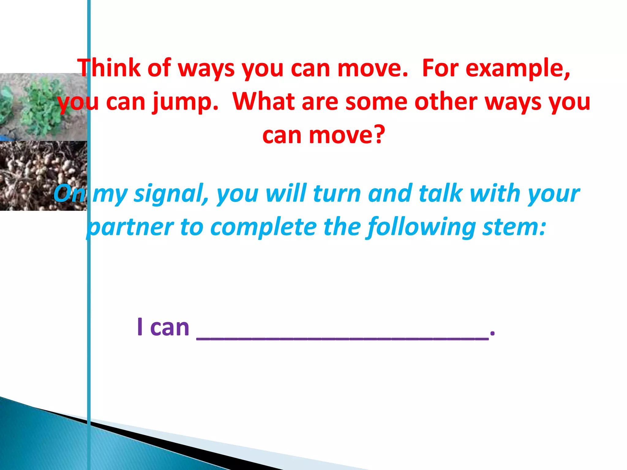 Think of ways you can move. For example,
you can jump. What are some other ways you
                 can move?

On my signal, you will turn and talk with your
  partner to complete the following stem:


       I can _____________________.
 