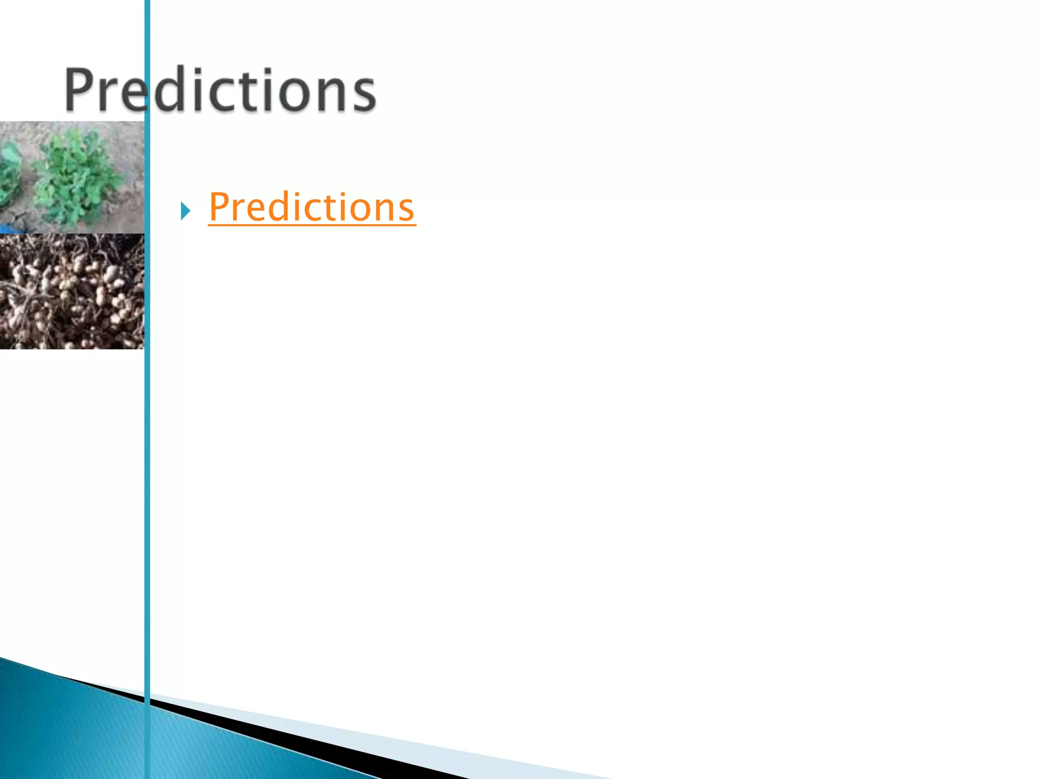    Predictions
 