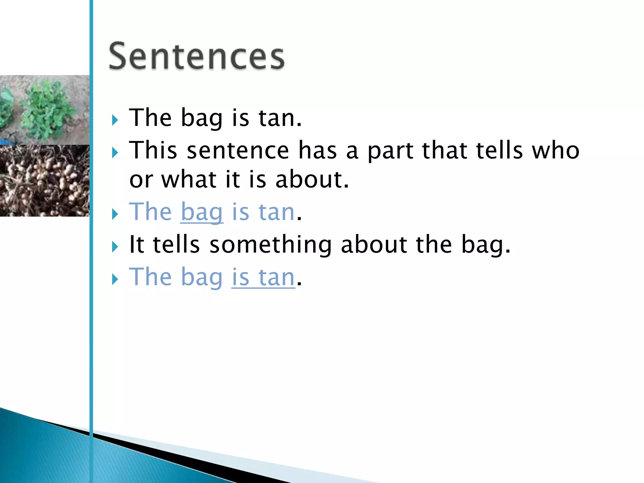    The bag is tan.
   This sentence has a part that tells who
    or what it is about.
   The bag is tan.
   It tells something about the bag.
   The bag is tan.
 