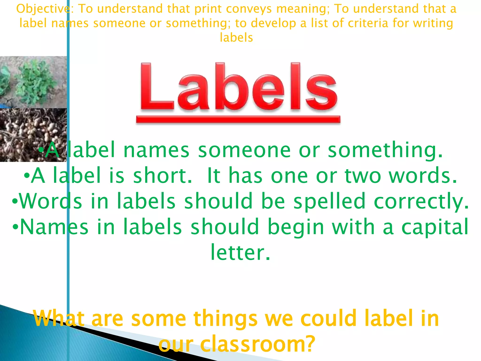 Objective: To understand that print conveys meaning; To understand that a
label names someone or something; to develop a list of criteria for writing
                                  labels




  •A label names someone or something.
 •A label is short. It has one or two words.
•Words in labels should be spelled correctly.
•Names in labels should begin with a capital
                    letter.


  What are some things we could label in
             our classroom?
 