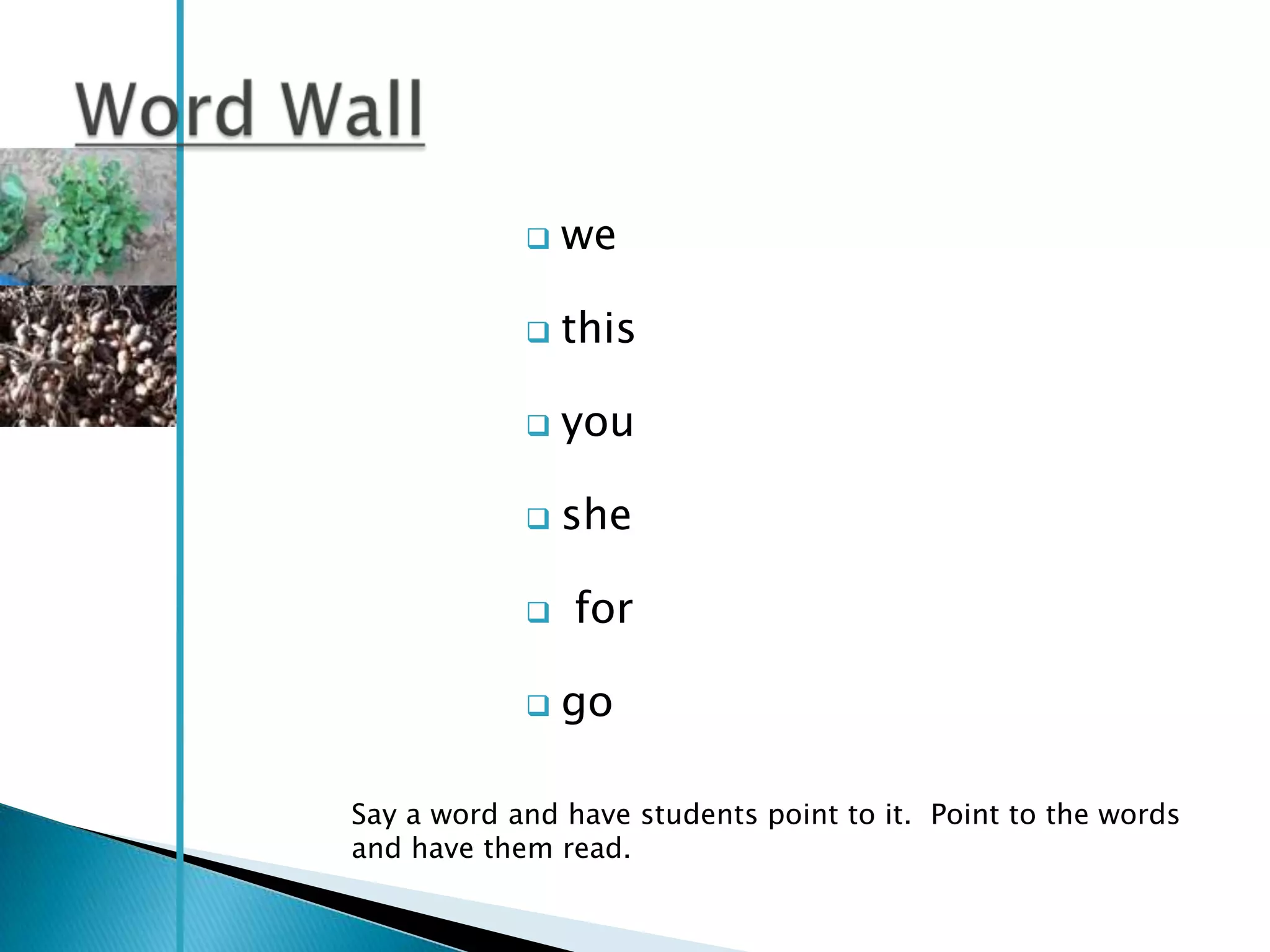    we

               this

               you

               she

               for

               go

Say a word and have students point to it. Point to the words
and have them read.
 