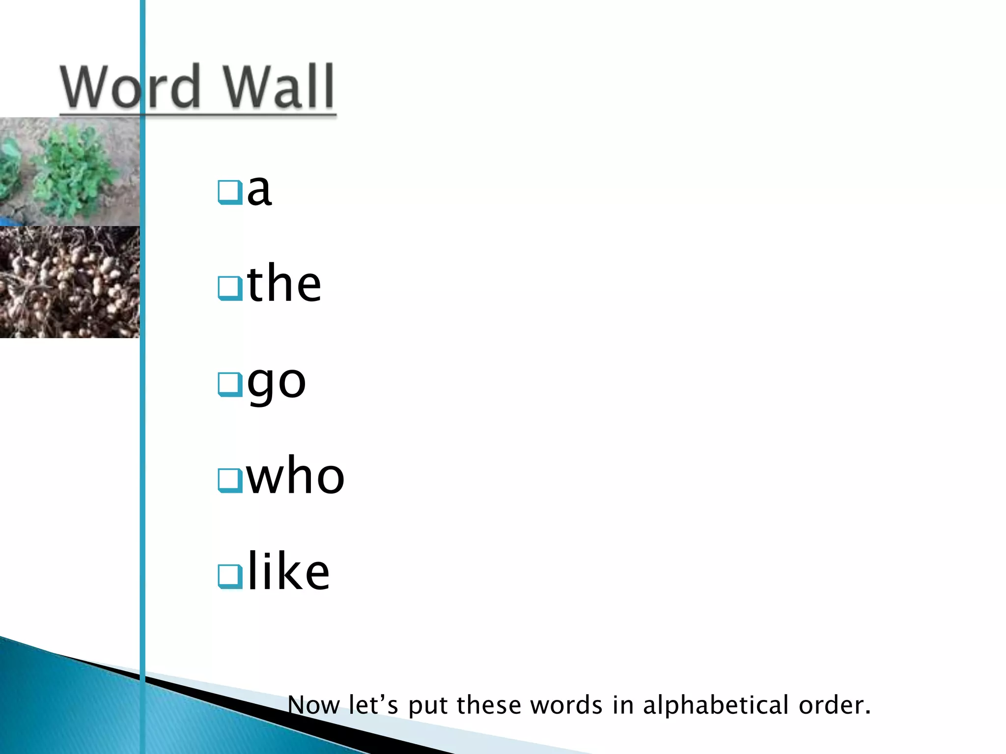 a

the

go

who

like


     Now let‘s put these words in alphabetical order.
 