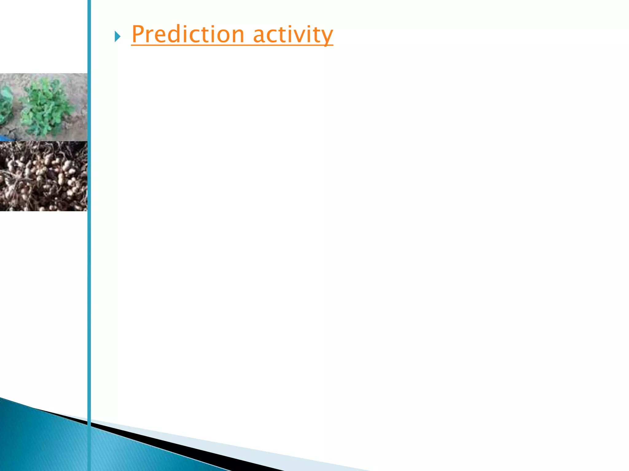    Prediction activity
 