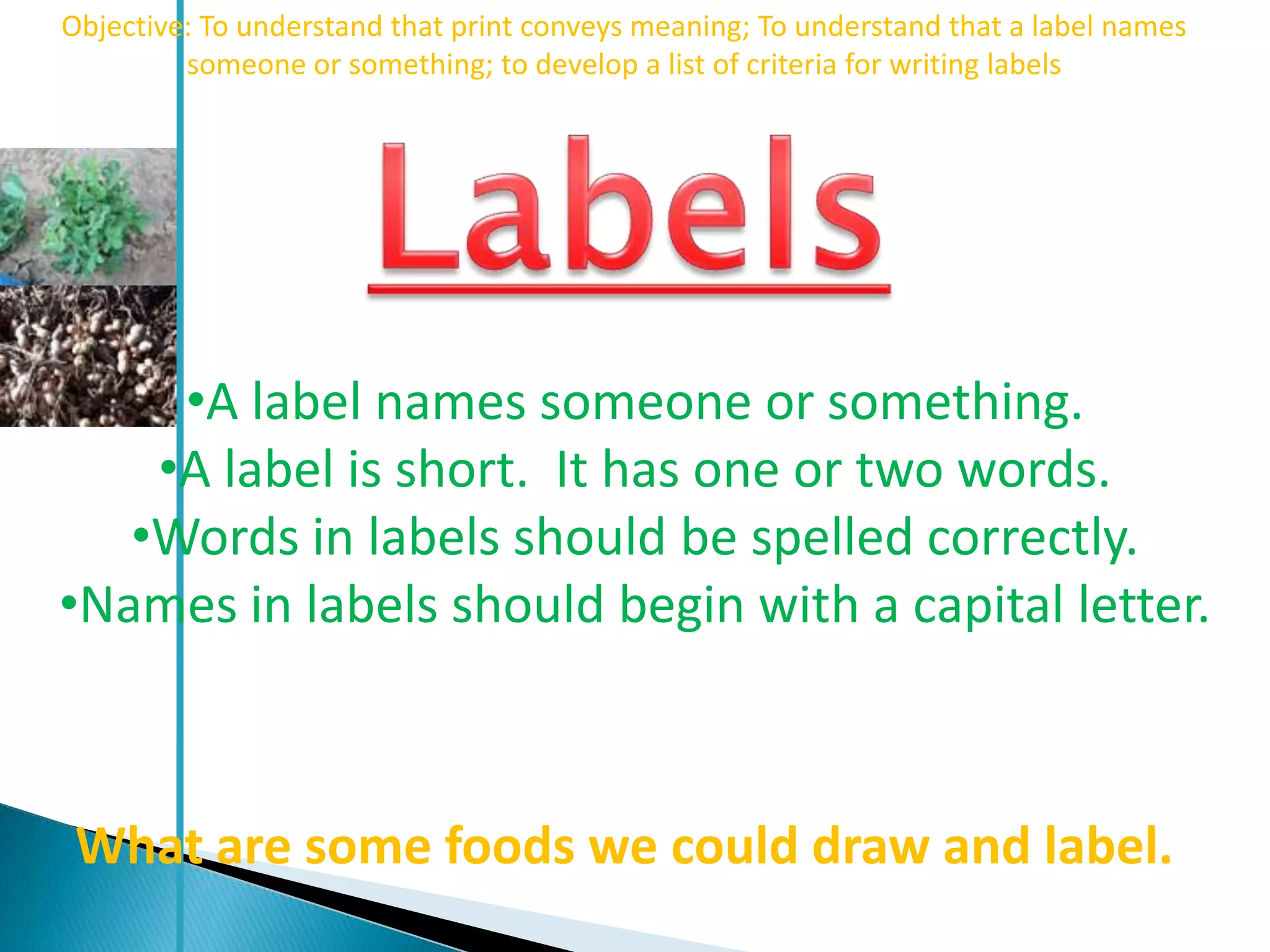 Objective: To understand that print conveys meaning; To understand that a label names
         someone or something; to develop a list of criteria for writing labels




     •A label names someone or something.
    •A label is short. It has one or two words.
   •Words in labels should be spelled correctly.
•Names in labels should begin with a capital letter.



 What are some foods we could draw and label.
 