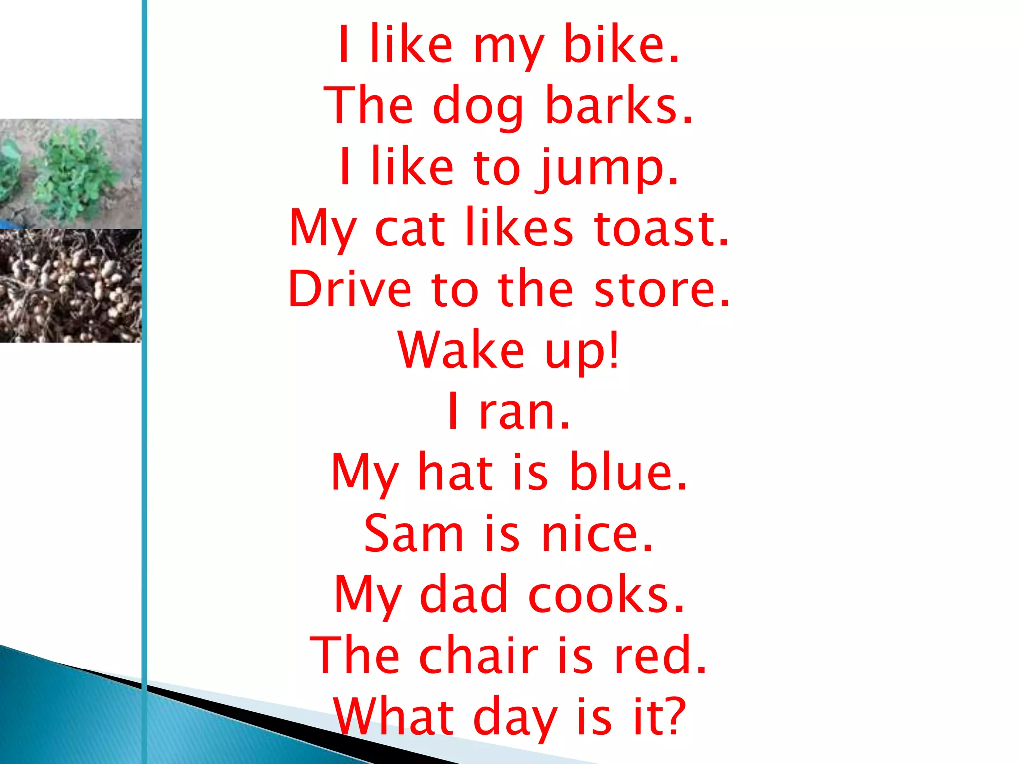 I like my bike.
 The dog barks.
  I like to jump.
My cat likes toast.
Drive to the store.
      Wake up!
        I ran.
  My hat is blue.
    Sam is nice.
  My dad cooks.
 The chair is red.
  What day is it?
 