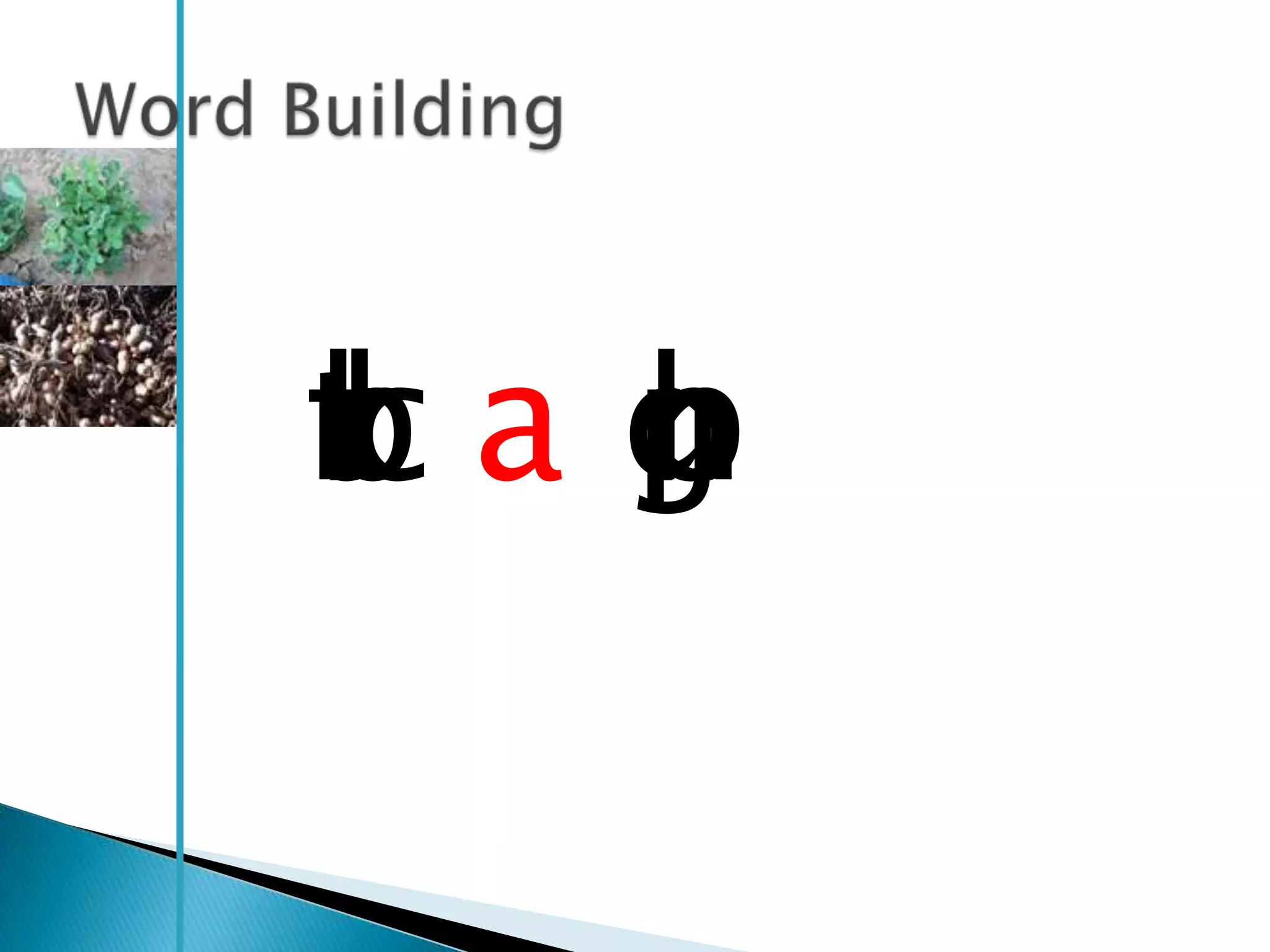 tl p
rc a g
b n
 r b
 