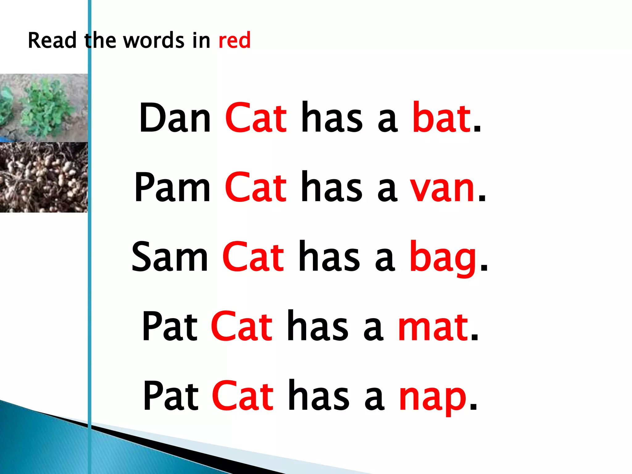 Read the words in red


          Dan Cat has a bat.
         Pam Cat has a van.
         Sam Cat has a bag.
          Pat Cat has a mat.
          Pat Cat has a nap.
 