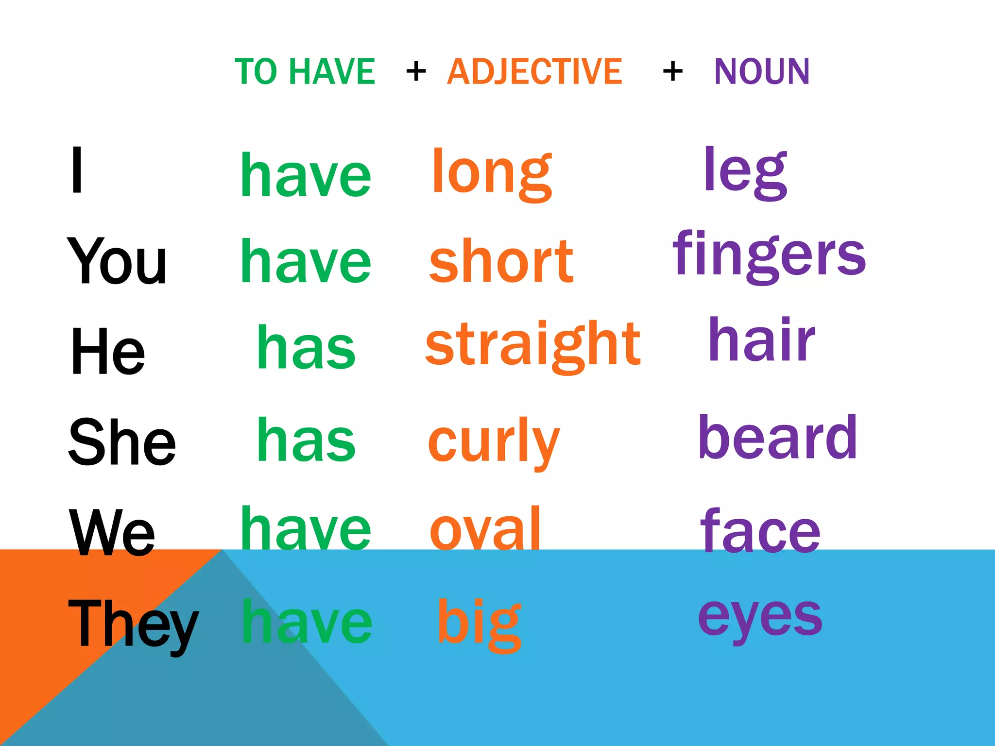 TO HAVE + ADJECTIVE   + NOUN

I      have     long           leg
You    have     short        fingers
He     has      straight       hair
She    has      curly         beard
We     have     oval          face
They   have     big           eyes
 