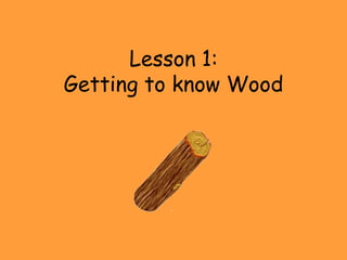 Lesson 1:
Getting to know Wood
 