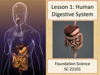 Lesson 1: Human
Digestive System
Foundation Science
SC 22101
 