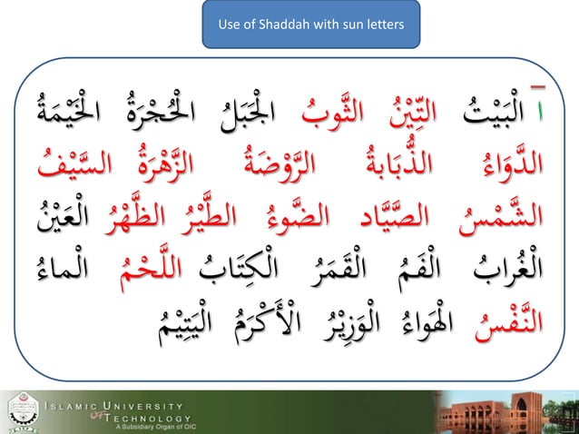 Arabic alphabet and their shapes | PPTX