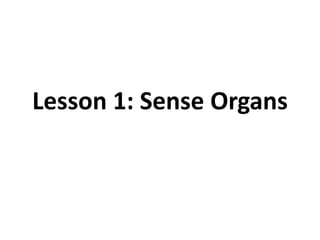 Lesson 1: Sense Organs 
 