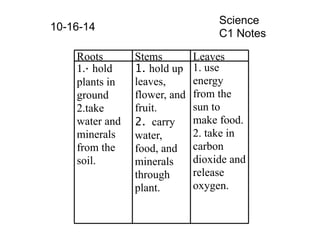 10-16-14 Science 
C1 Notes 
Roots Stems Leaves 
1.· hold 
plants in 
ground 
2.take 
water and 
minerals 
from the 
soil. 
1. hold up 
leaves, 
flower, and 
fruit. 
2. carry 
water, 
food, and 
minerals 
through 
plant. 
1. use 
energy 
from the 
sun to 
make food. 
2. take in 
carbon 
dioxide and 
release 
oxygen. 
 