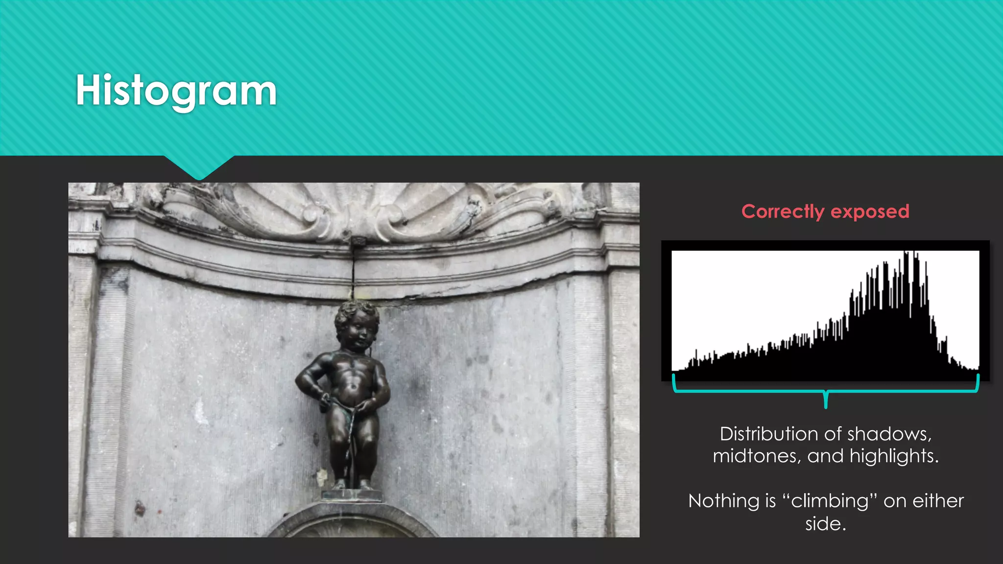 Histogram
Correctly exposed
Distribution of shadows,
midtones, and highlights.
Nothing is “climbing” on either
side.
 