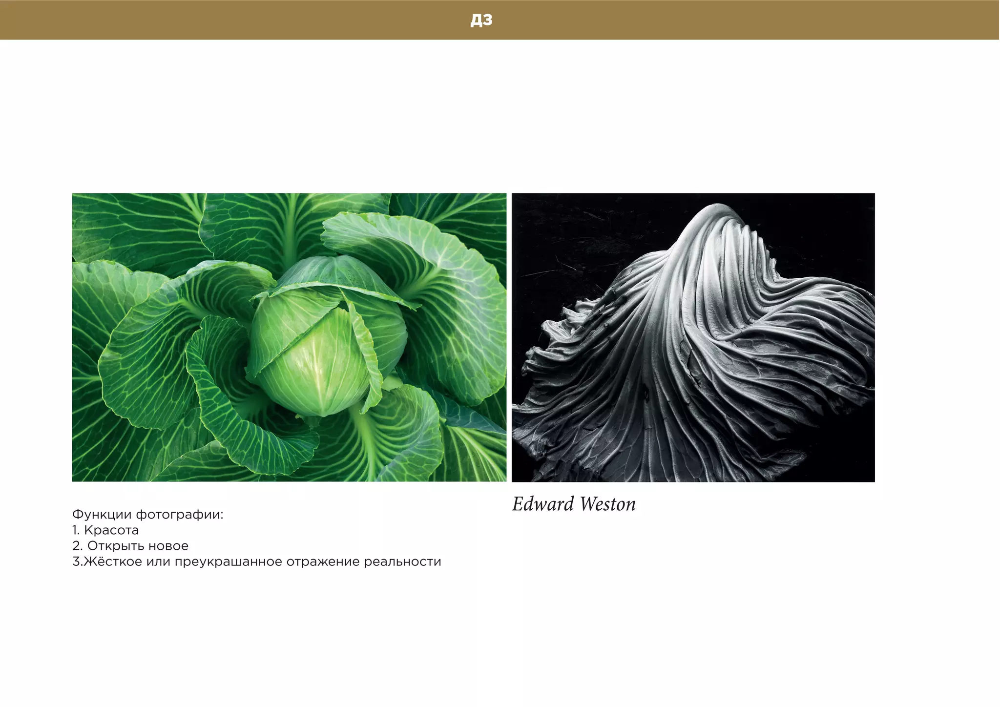 ДЗ
Функции фотографии:
1. Красота
2. Открыть новое
3.Жёсткое или преукрашанное отражение реальности
Edward Weston
 