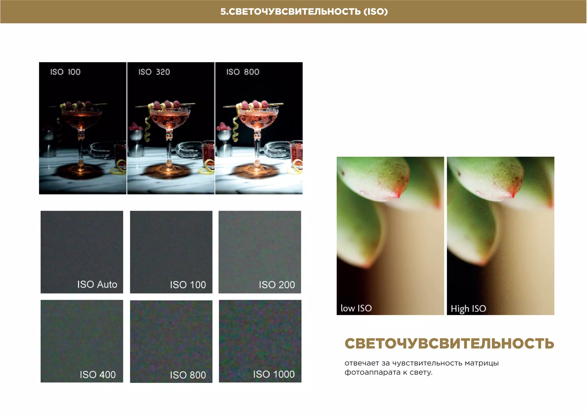 5.СВЕТОЧУВСВИТЕЛЬНОСТЬ (ISO)
отвечает за чувствительность матрицы
фотоаппарата к свету.
СВЕТОЧУВСВИТЕЛЬНОСТЬ
 