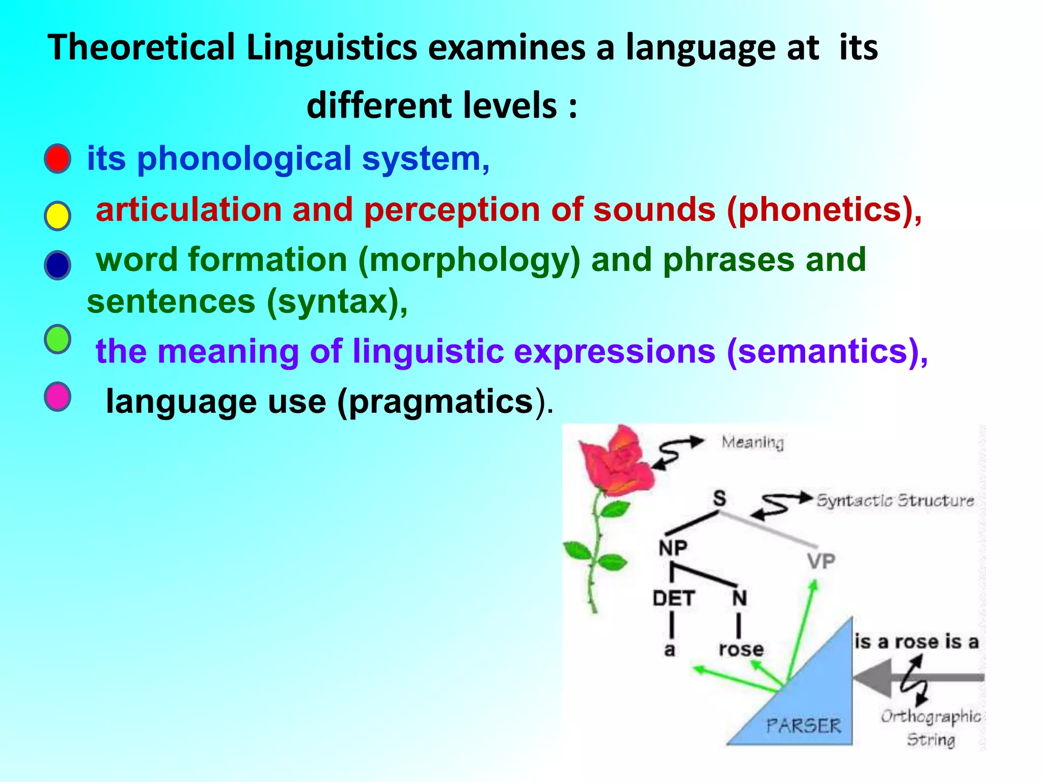 Theoretical Linguistics examines a language at its
different levels :
its phonological system,
articulation and perception of sounds (phonetics),
word formation (morphology) and phrases and
sentences (syntax),
the meaning of linguistic expressions (semantics),
language use (pragmatics).
 