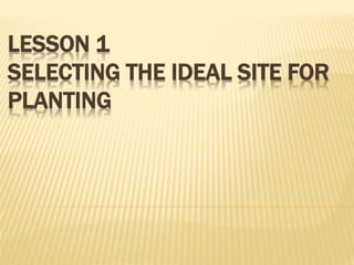 LESSON 1
SELECTING THE IDEAL SITE FOR
PLANTING
 