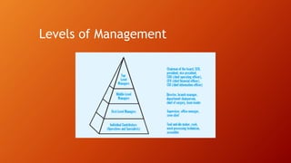 Levels of Management
 