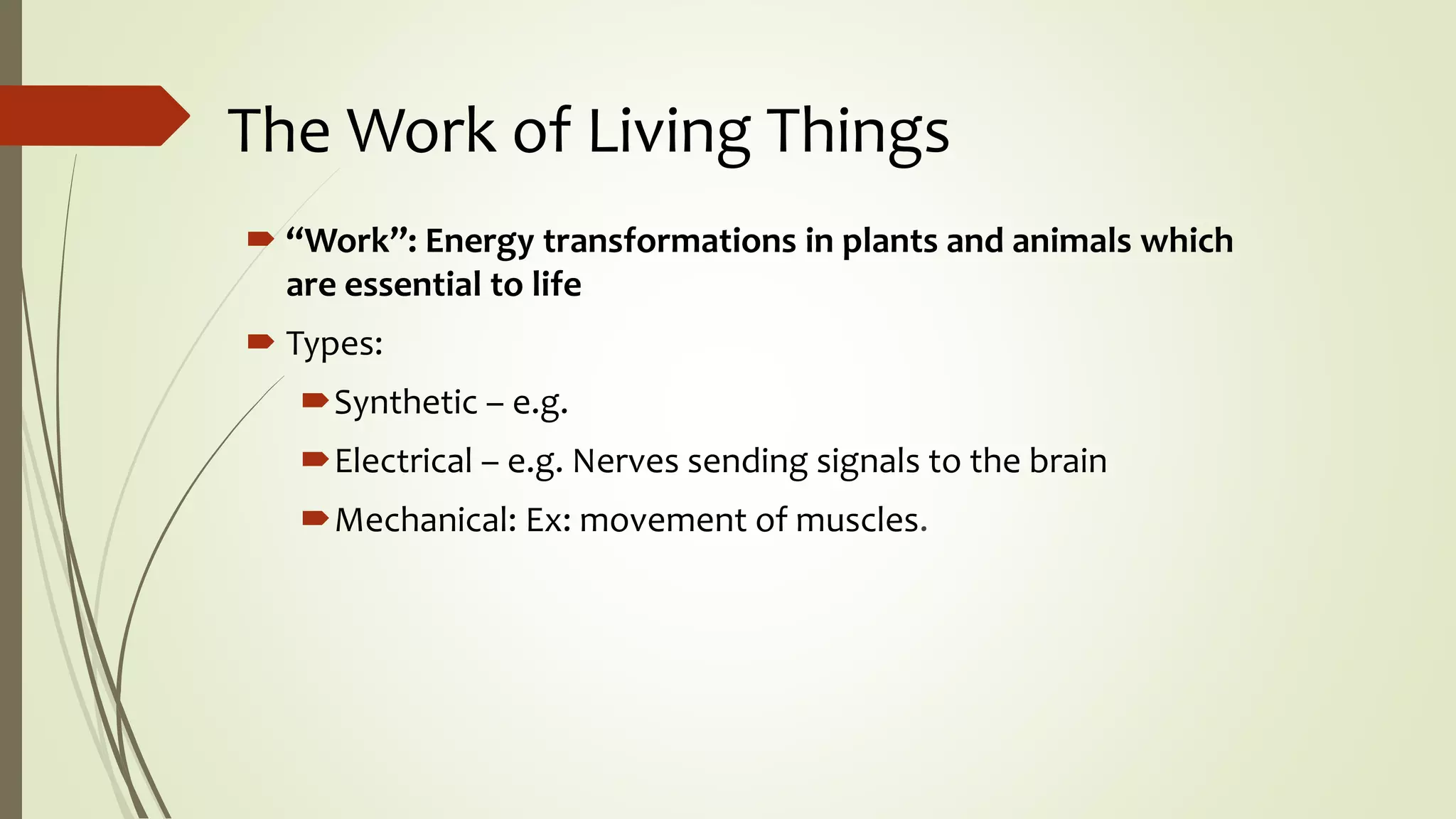 The Work of Living Things
 “Work”: Energy transformations in plants and animals which
are essential to life
 Types:
Synthetic – e.g.
Electrical – e.g. Nerves sending signals to the brain
Mechanical: Ex: movement of muscles.
 