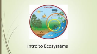 Intro to Ecosystems
 