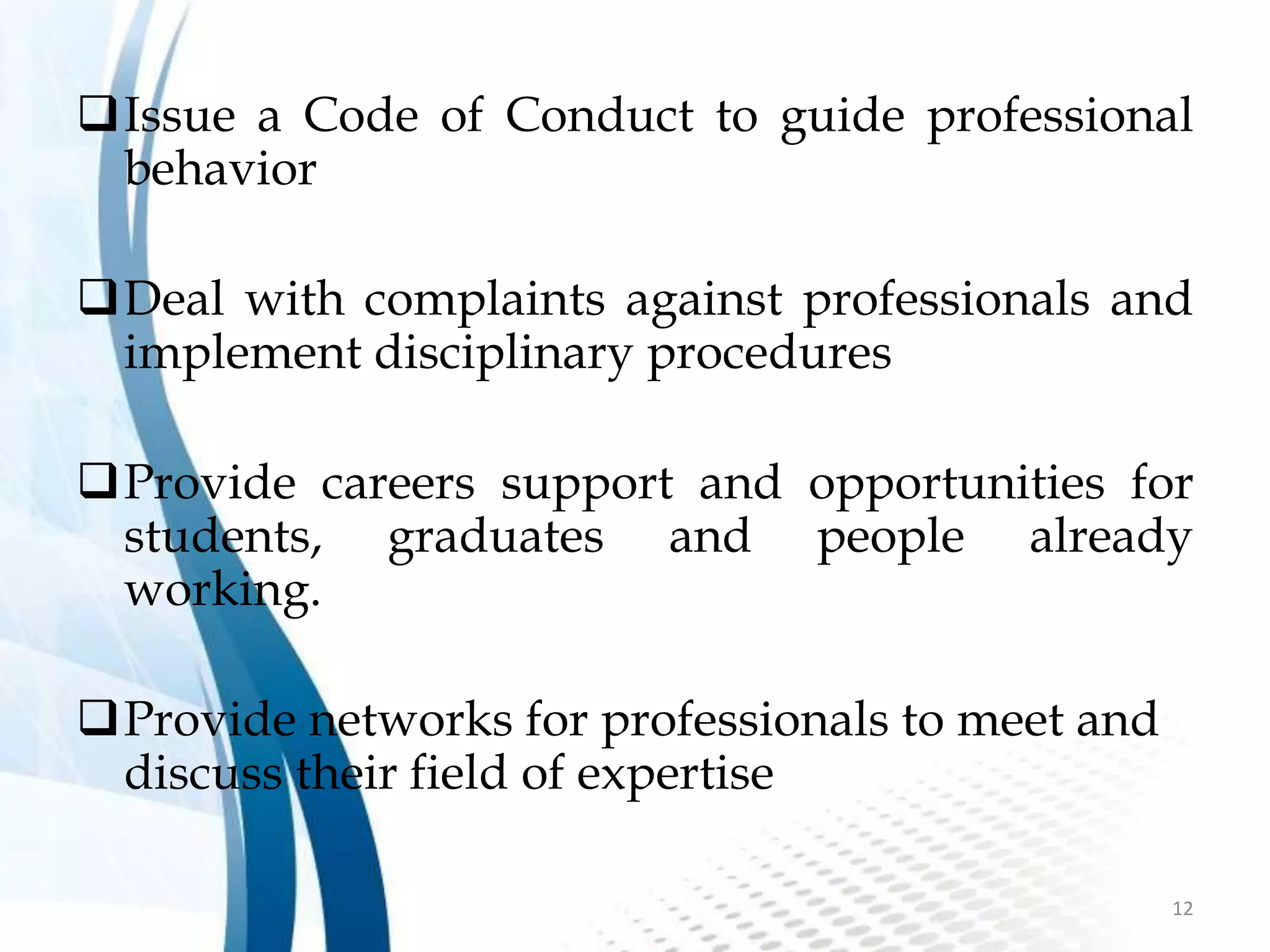 Information Technology Professionalism | PPTX