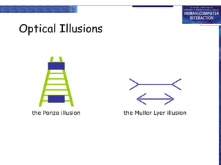 Optical Illusions
the Ponzo illusion the Muller Lyer illusion
 
