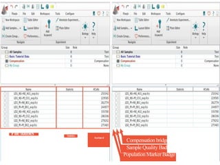 Lesson 1 Basic Tutorial Data Analysis Software for Flow Cytometry | PPTX