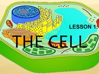 LESSON 1:
THE CELL
 