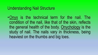 Understanding Nail Structure
•Onyx is the technical term for the nail. The
condition of the nail, like that of the skin, reflects
the general health of the body. Onychology is the
study of nail. The nails vary in thickness, being
heaviest on the thumbs and big toes.
 