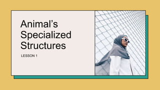 Animal’s
Specialized
Structures
LESSON 1
 
