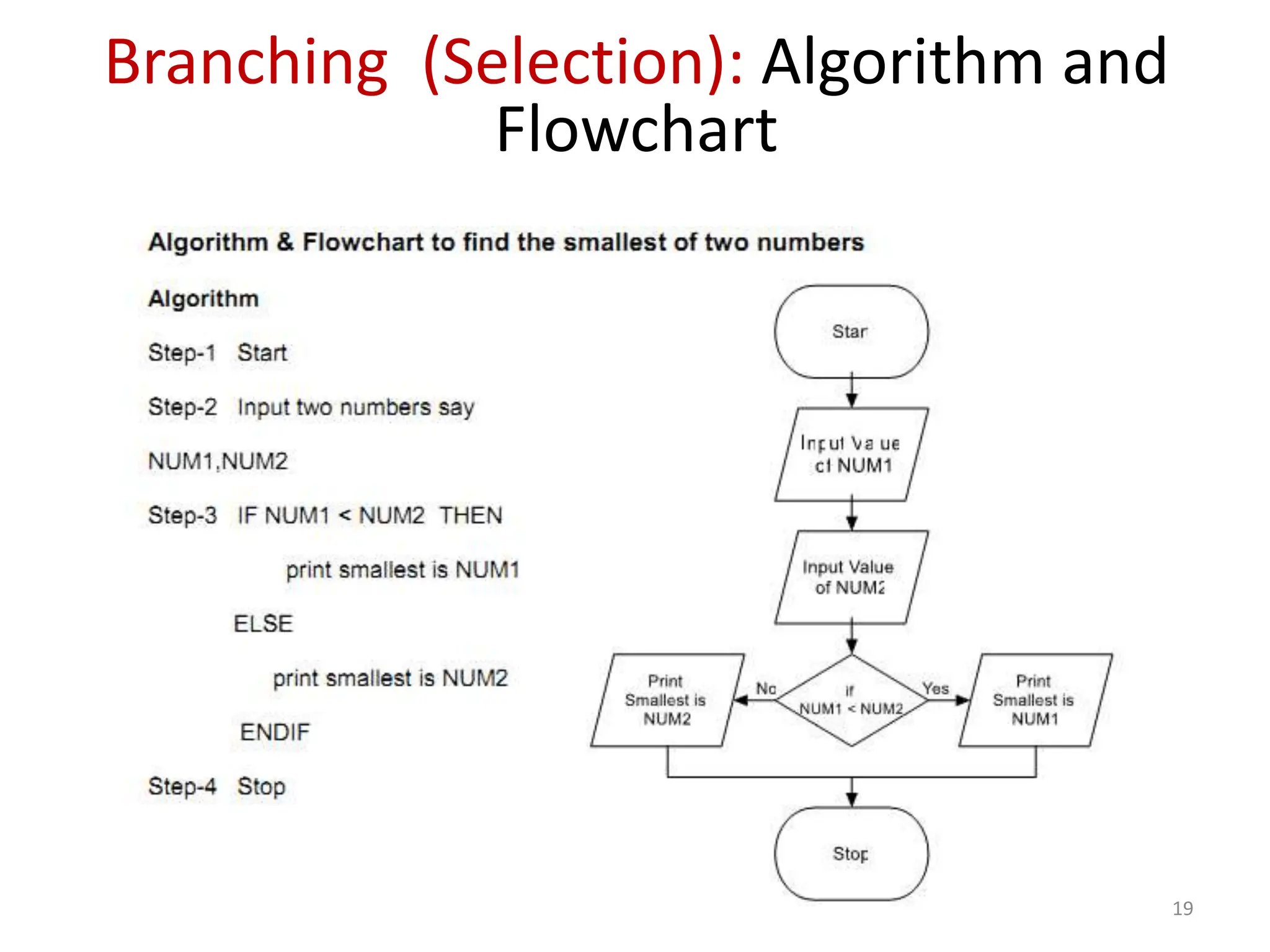 Lesson 1 of c programming algorithms and flowcharts.pptx