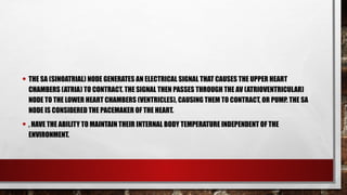 • THE SA (SINOATRIAL) NODE GENERATES AN ELECTRICAL SIGNAL THAT CAUSES THE UPPER HEART
CHAMBERS (ATRIA) TO CONTRACT. THE SIGNAL THEN PASSES THROUGH THE AV (ATRIOVENTRICULAR)
NODE TO THE LOWER HEART CHAMBERS (VENTRICLES), CAUSING THEM TO CONTRACT, OR PUMP. THE SA
NODE IS CONSIDERED THE PACEMAKER OF THE HEART.
• , HAVE THE ABILITY TO MAINTAIN THEIR INTERNAL BODY TEMPERATURE INDEPENDENT OF THE
ENVIRONMENT.
 