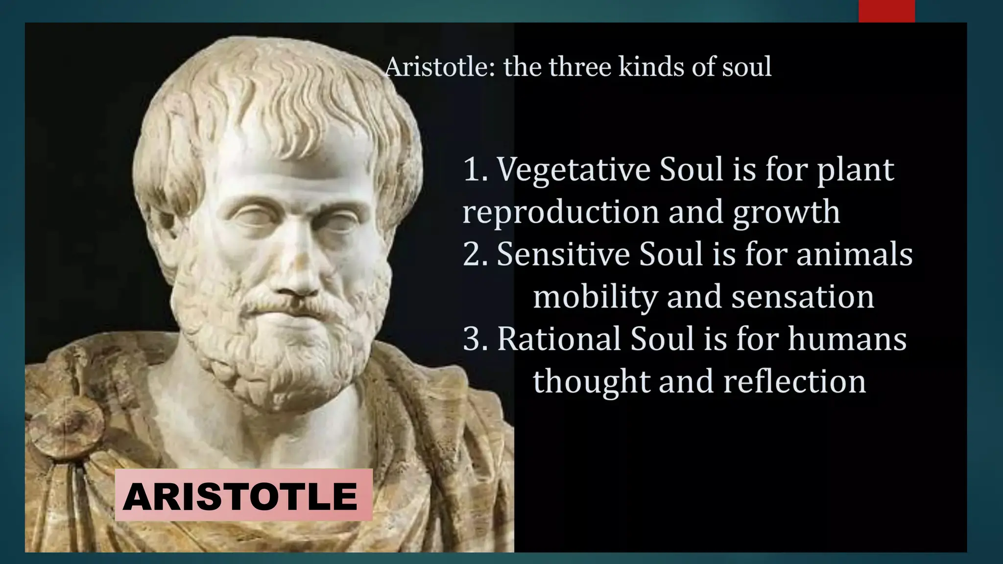 ARISTOTLE
 